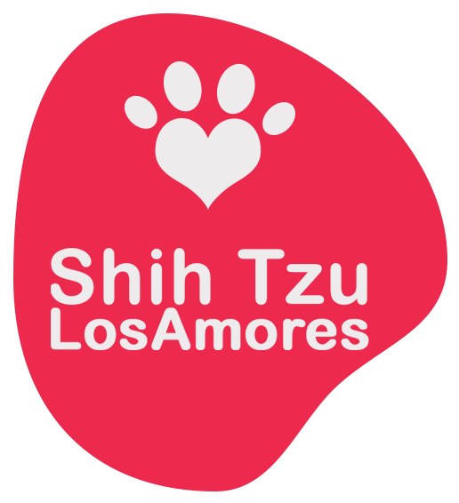 shitzulosamores.com